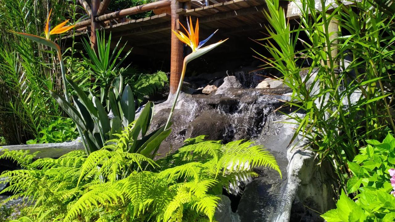Pousada Sitio Das Flores 12 Km De Macacos Nova Lima Eksteriør bilde